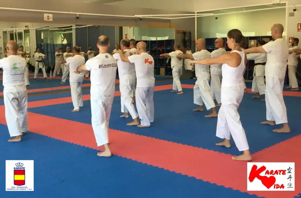 Grupo Curso Karatevida